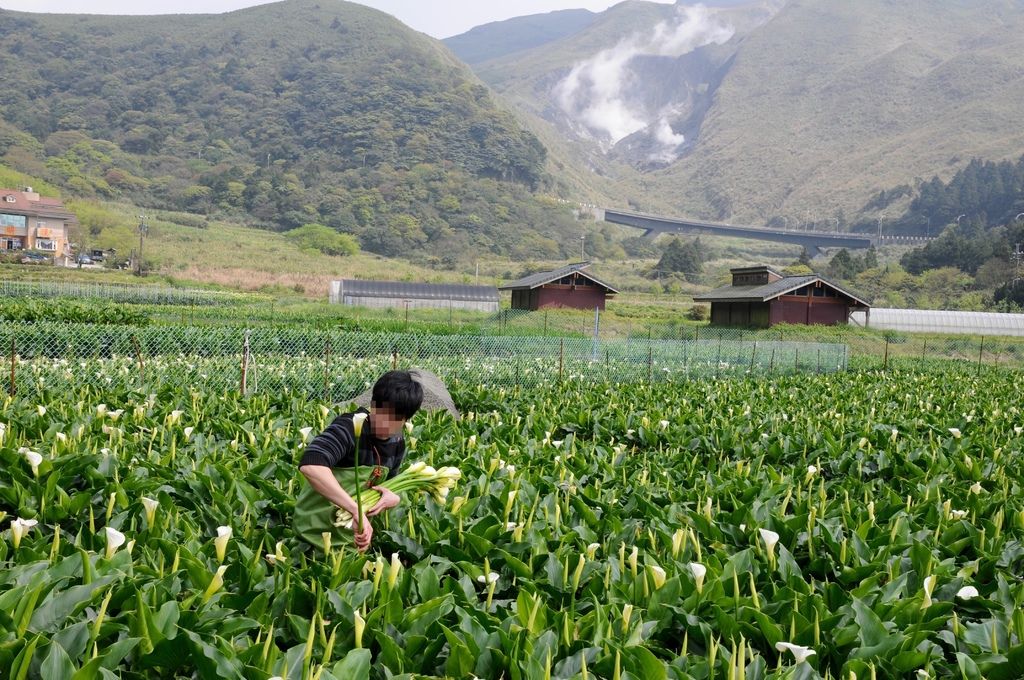 DSC_3552g.jpg DSC_3552g.jpg