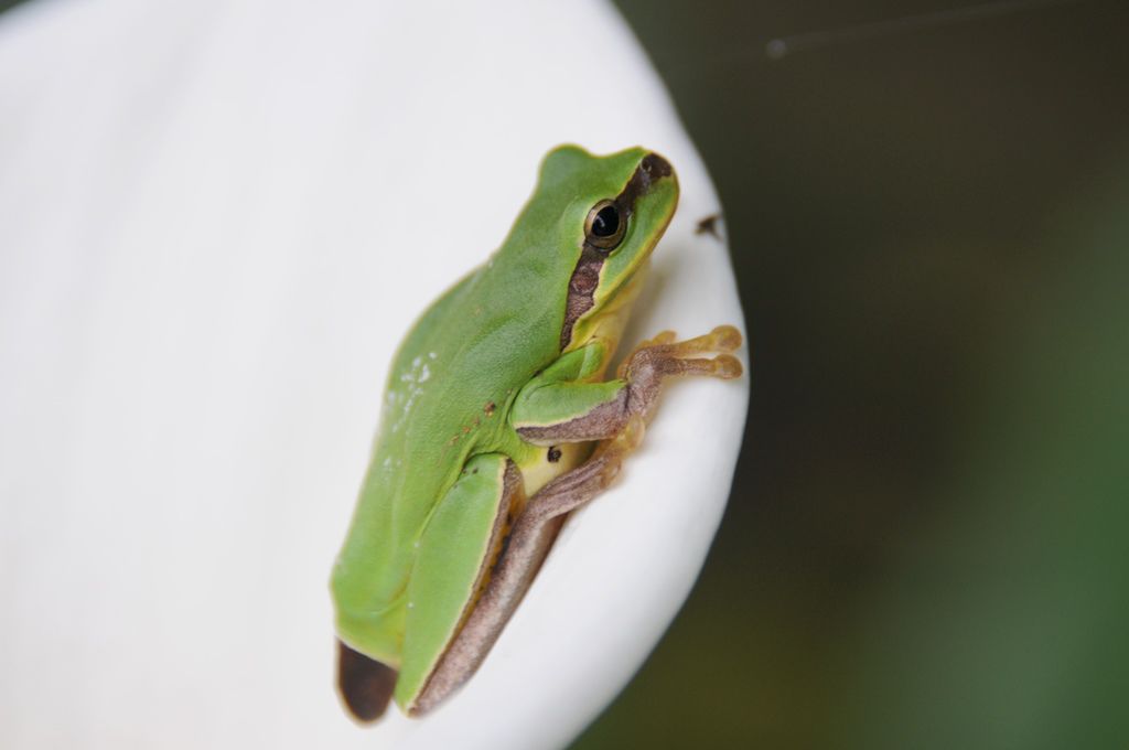 DSC_8564.jpg DSC_8564.jpg