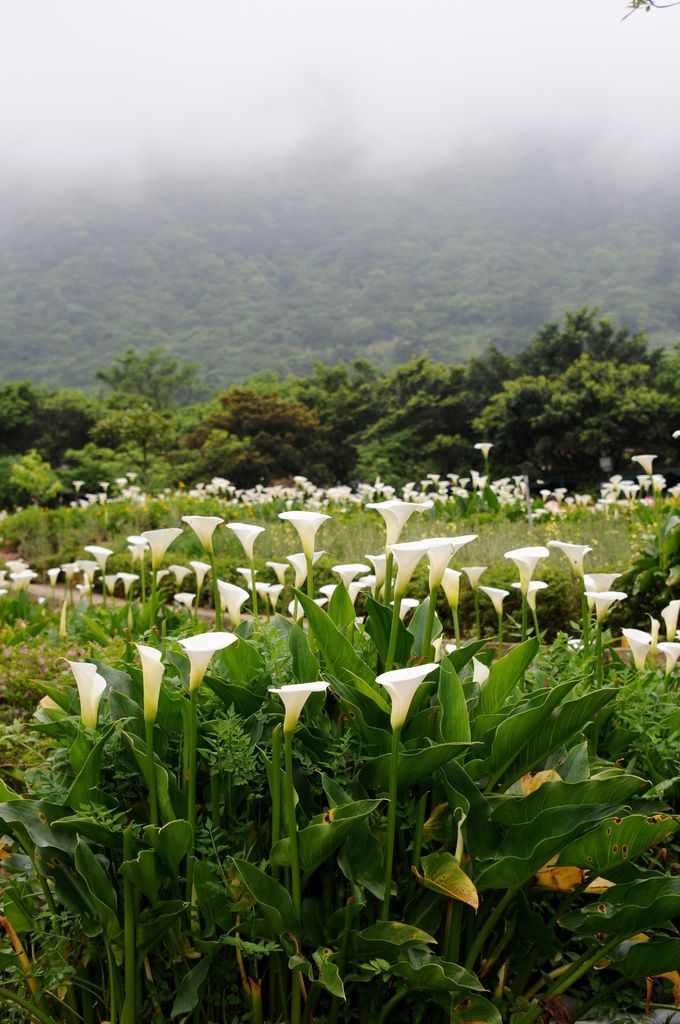 DSC_5540.jpg DSC_5540.jpg