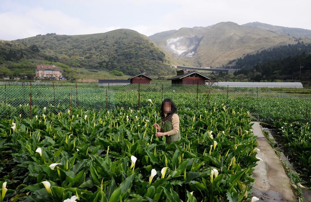 DSC_3618.jpg DSC_3618.jpg