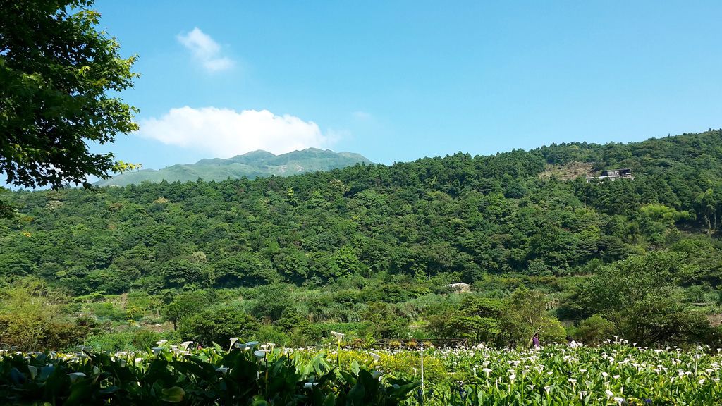 20140517_145705.jpg 20140517_145705.jpg