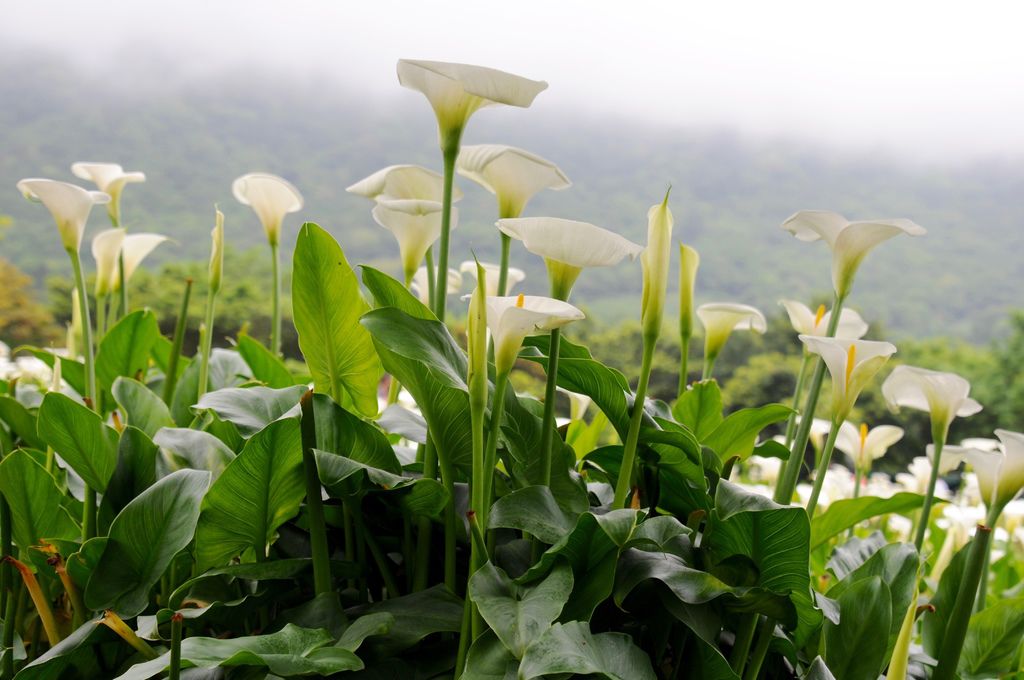 DSC_5549.jpg DSC_5549.jpg