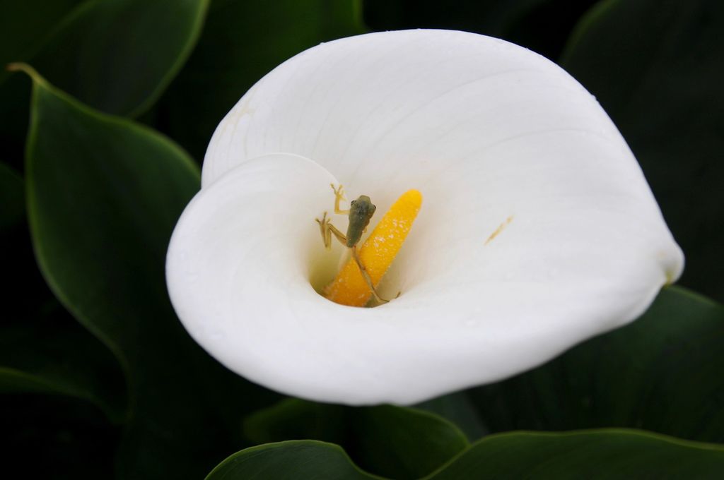 DSC_6798.jpg DSC_6798.jpg