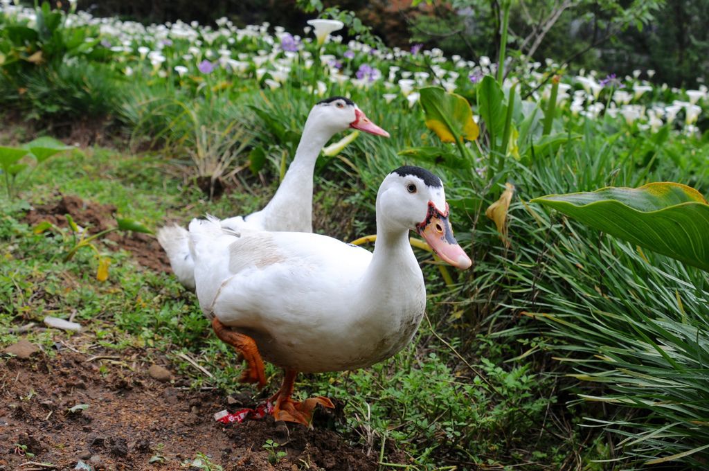 DSC_5573.jpg DSC_5573.jpg