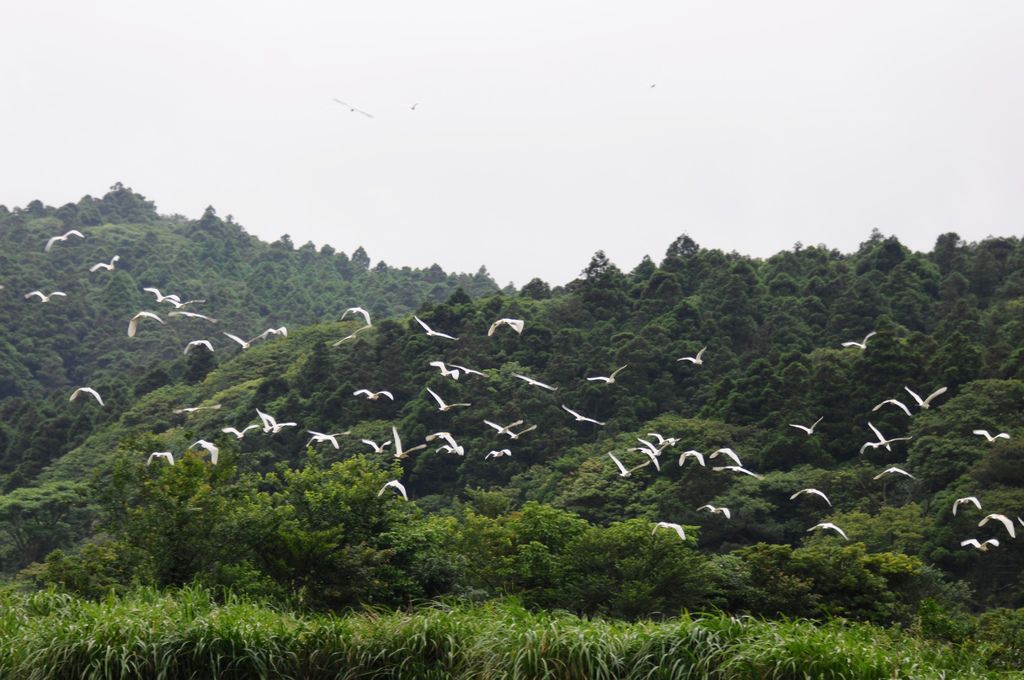 DSC_6727.jpg DSC_6727.jpg