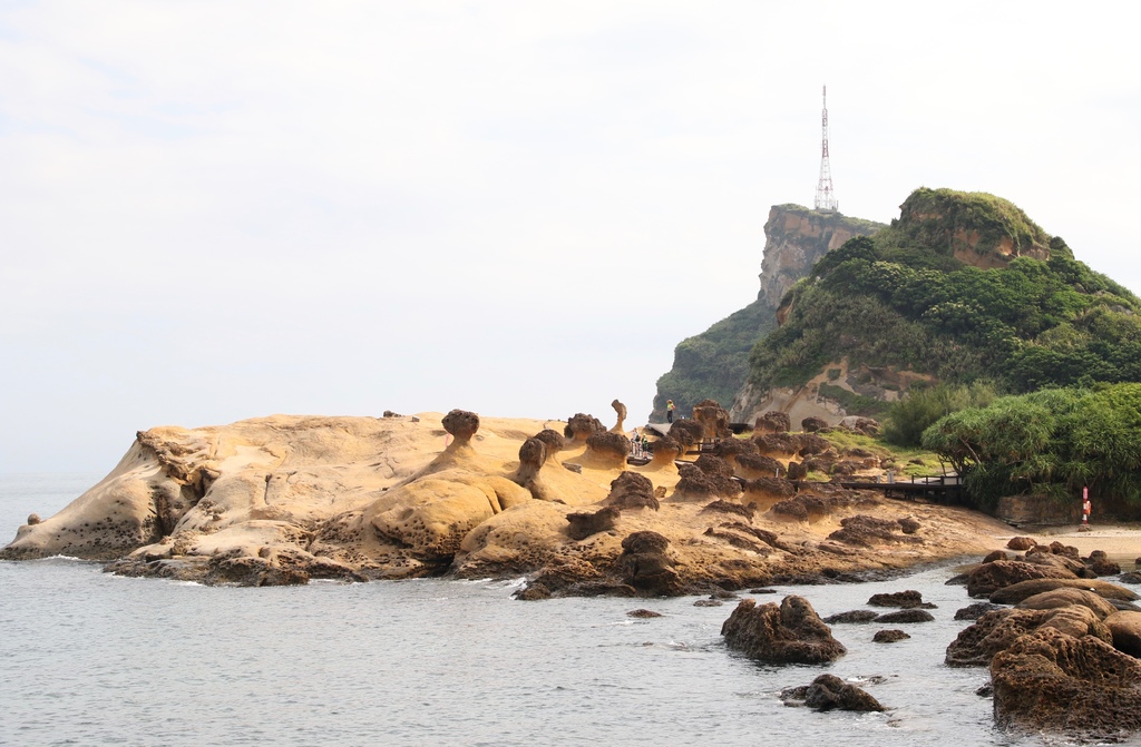 LH7A9917.jpg LH7A9917.jpg