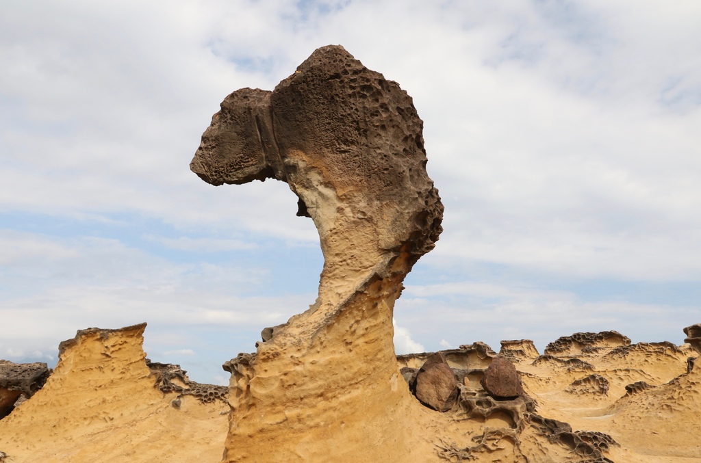 LH7A9922.jpg LH7A9922.jpg