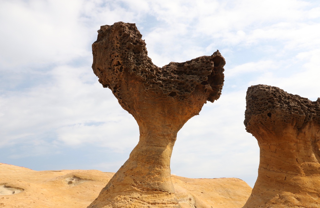 LH7A9931.jpg LH7A9931.jpg