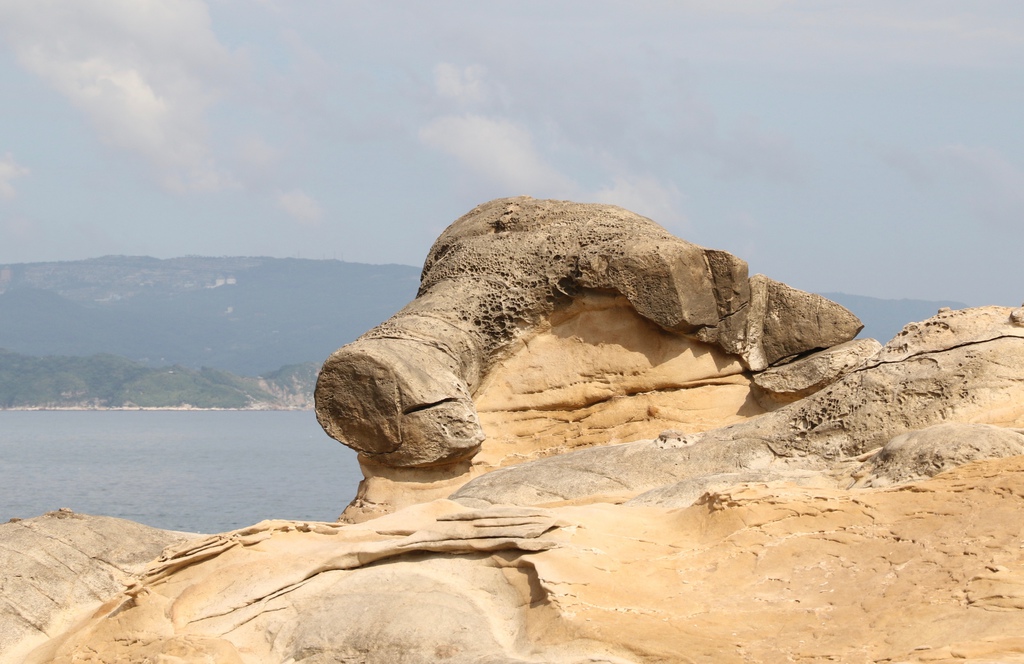 LH7A9935.jpg LH7A9935.jpg