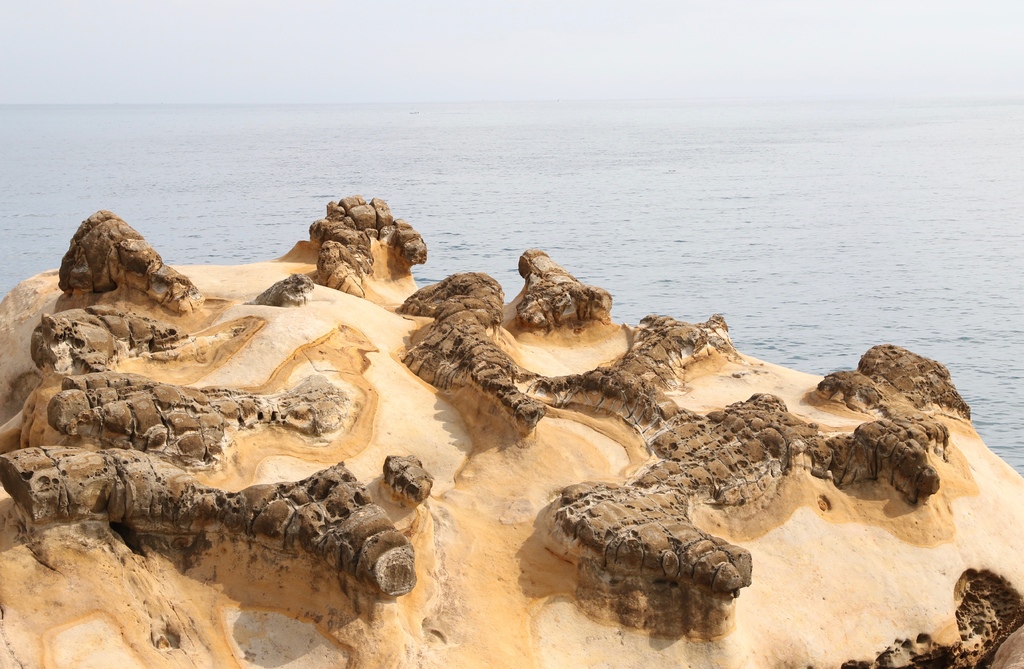 LH7A9941.jpg LH7A9941.jpg