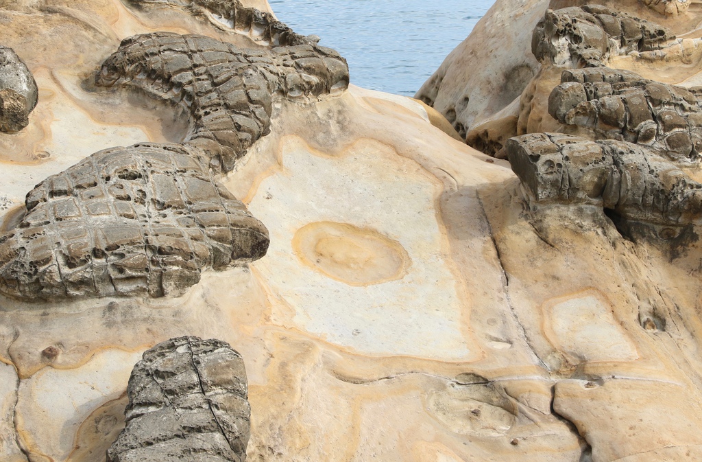 LH7A9943.jpg LH7A9943.jpg