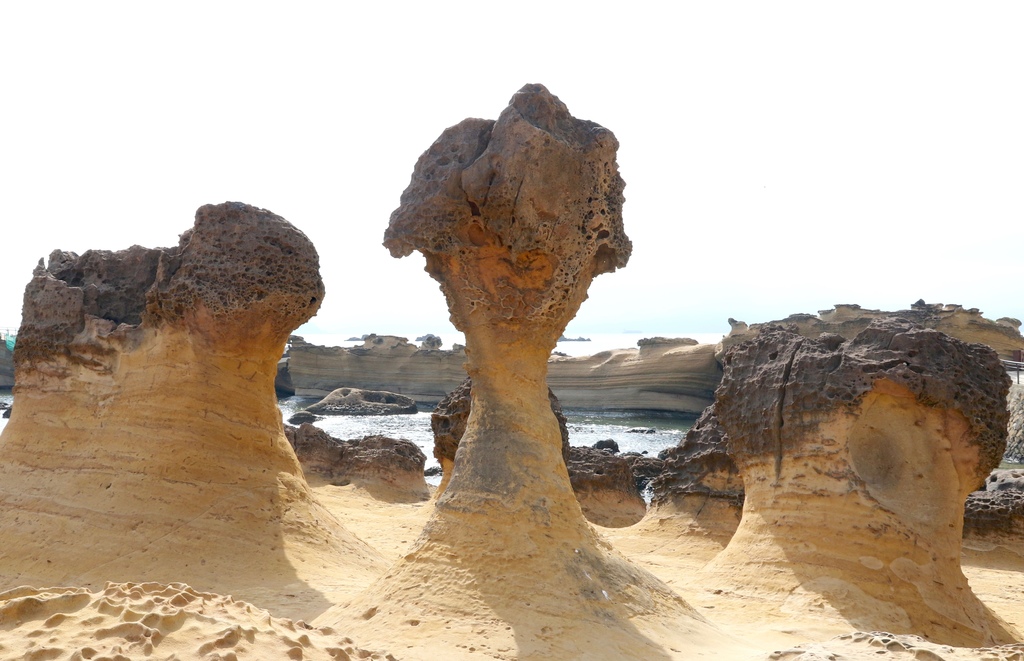 LH7A9946.jpg LH7A9946.jpg