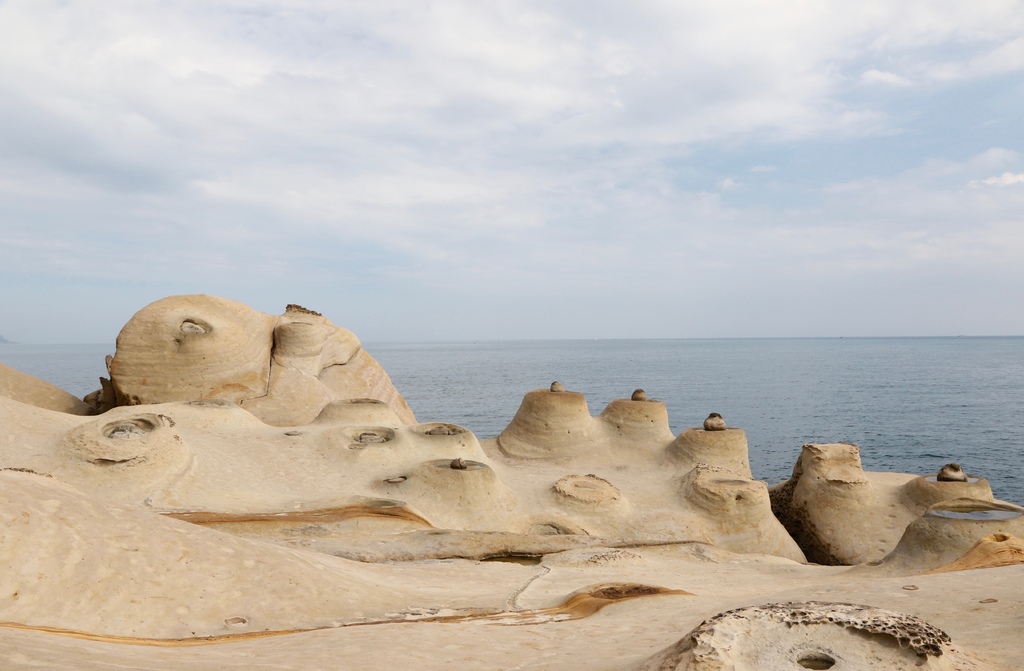 LH7A9975.jpg LH7A9975.jpg