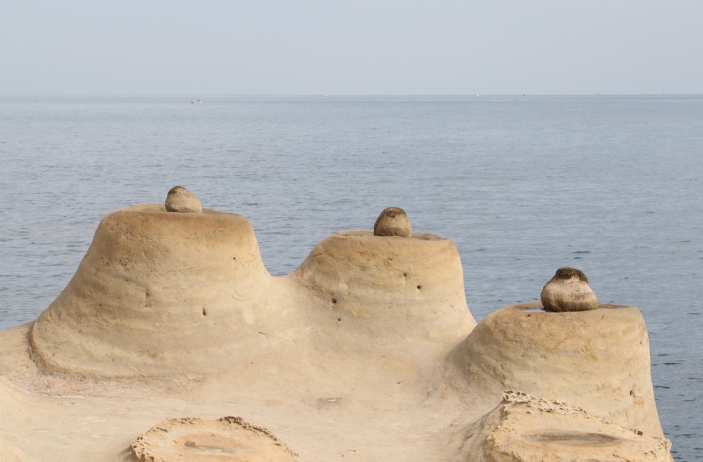 LH7A9984.jpg LH7A9984.jpg