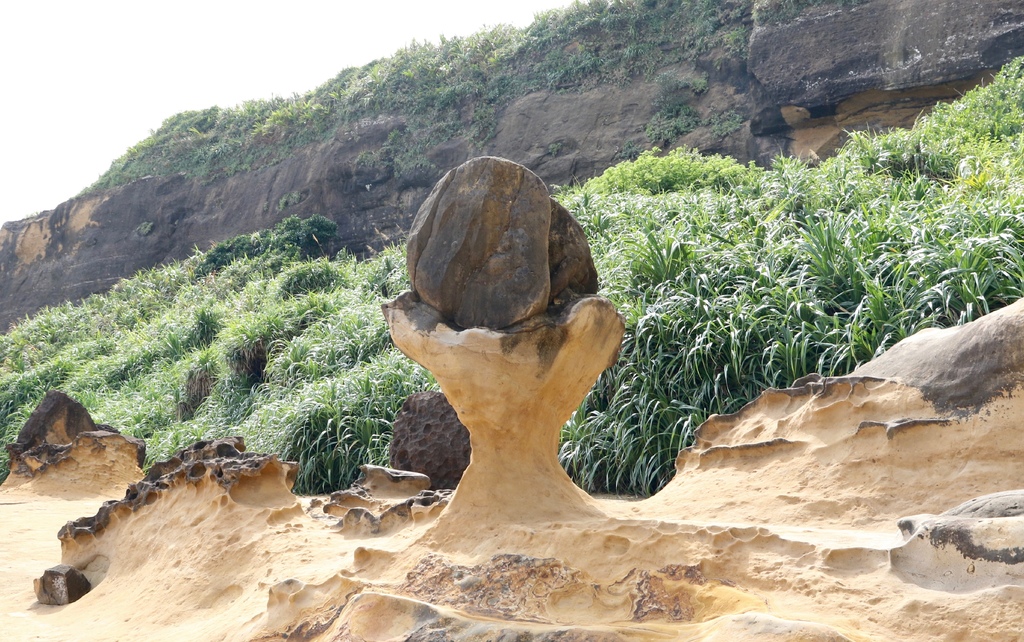 LH7A9989.jpg LH7A9989.jpg