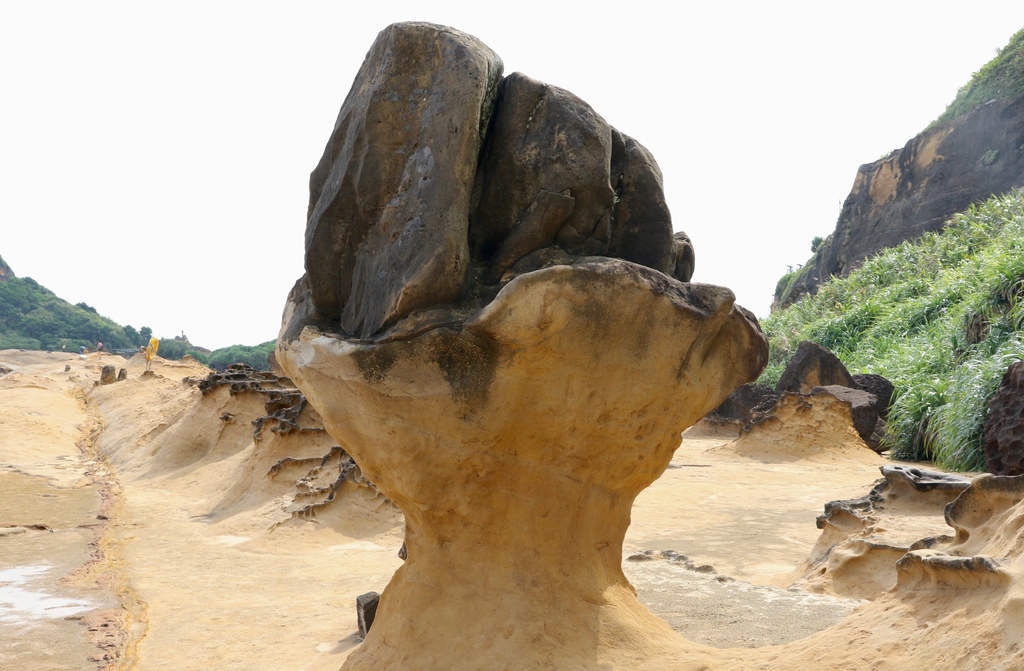 LH7A9962.jpg LH7A9962.jpg