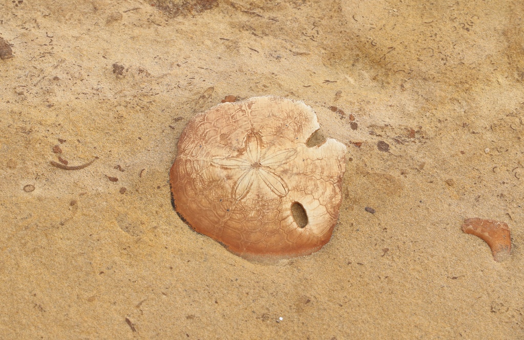 LH7A0005.jpg LH7A0005.jpg