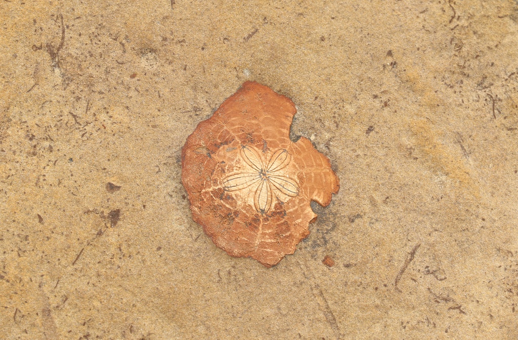 LH7A0012.jpg LH7A0012.jpg