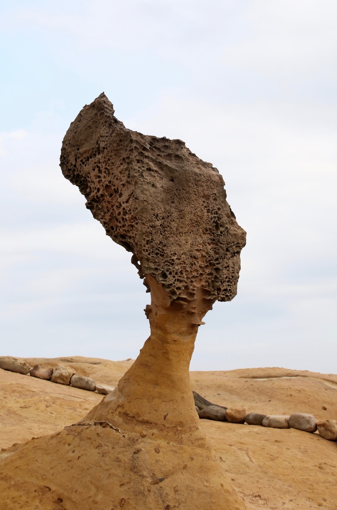 LH7A0095.jpg LH7A0095.jpg