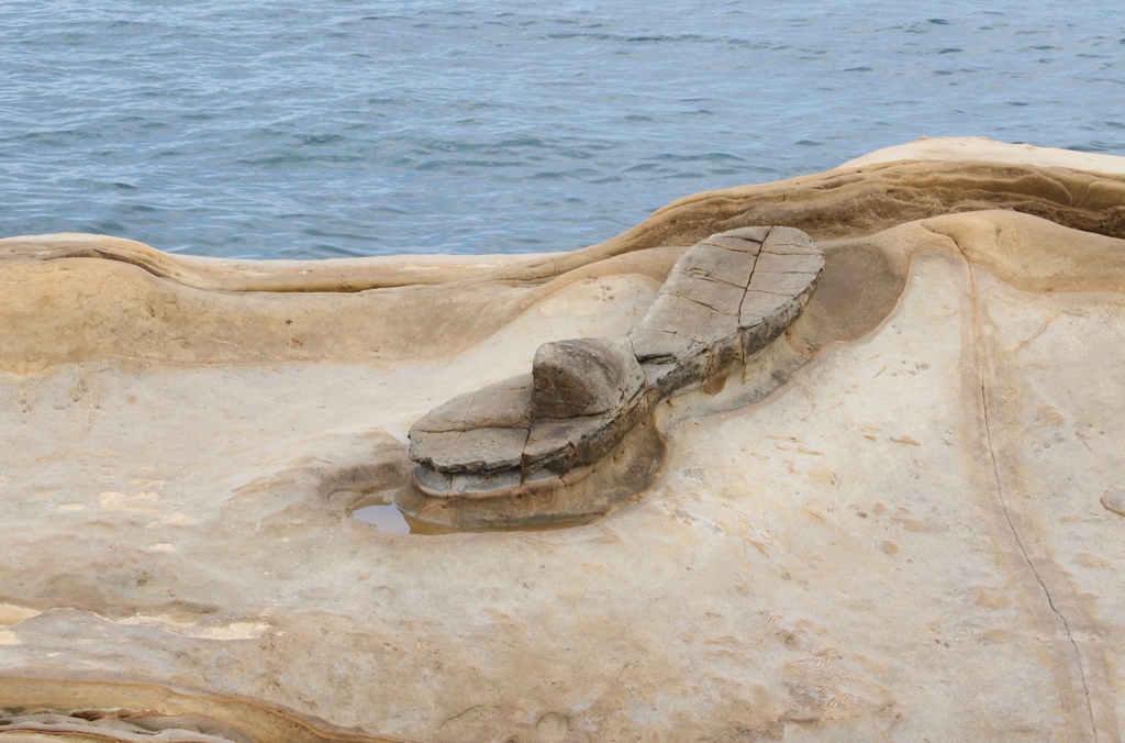 LH7A0127.jpg LH7A0127.jpg