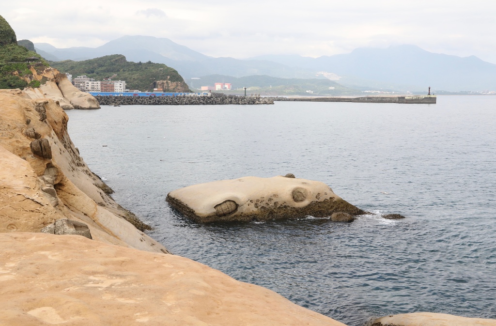 LH7A0117.jpg LH7A0117.jpg