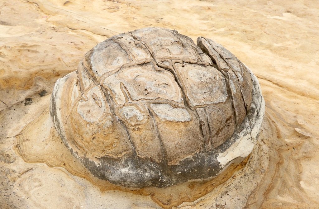 LH7A0133.jpg LH7A0133.jpg