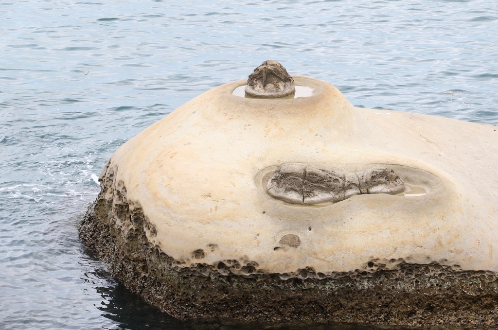 LH7A0157.jpg LH7A0157.jpg