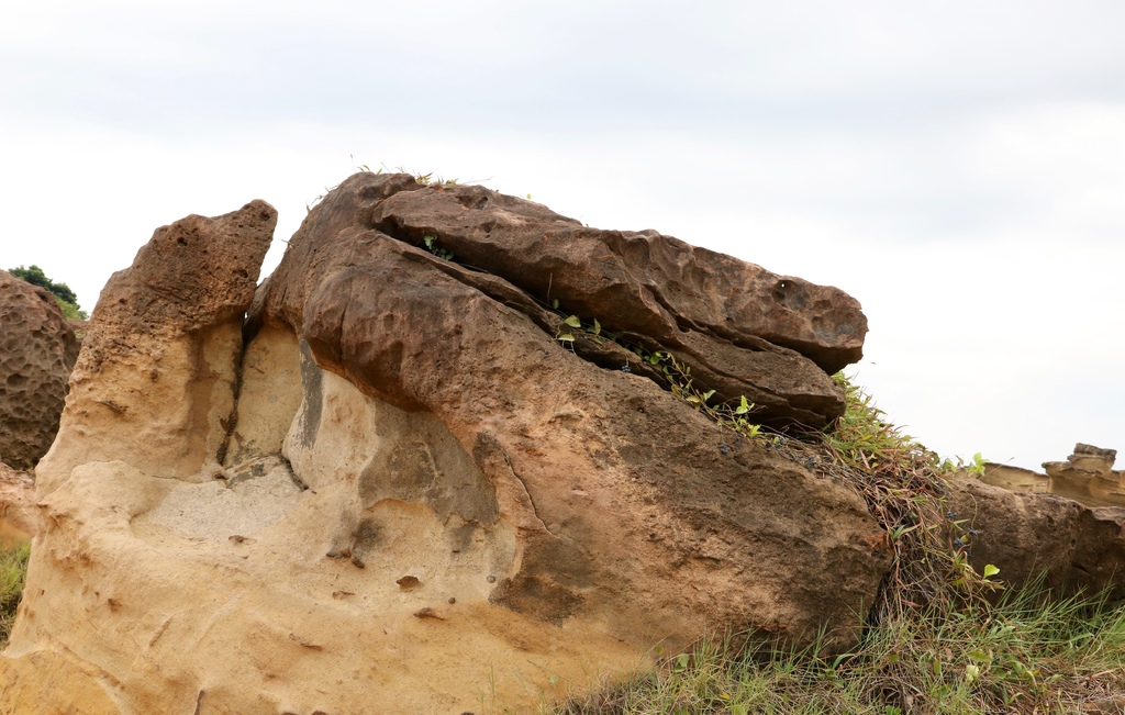 LH7A0176.jpg LH7A0176.jpg