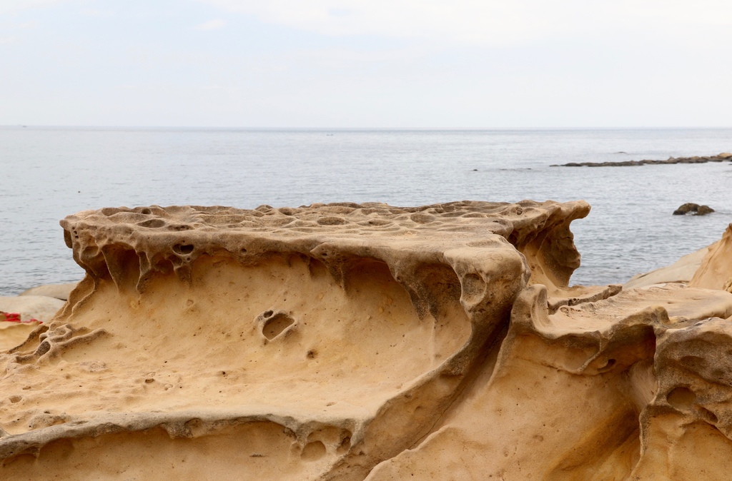 LH7A0203.jpg LH7A0203.jpg