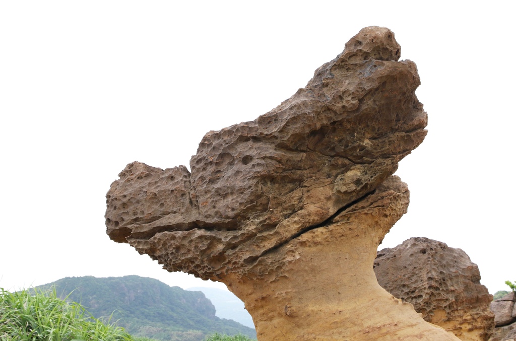 LH7A0216.jpg LH7A0216.jpg