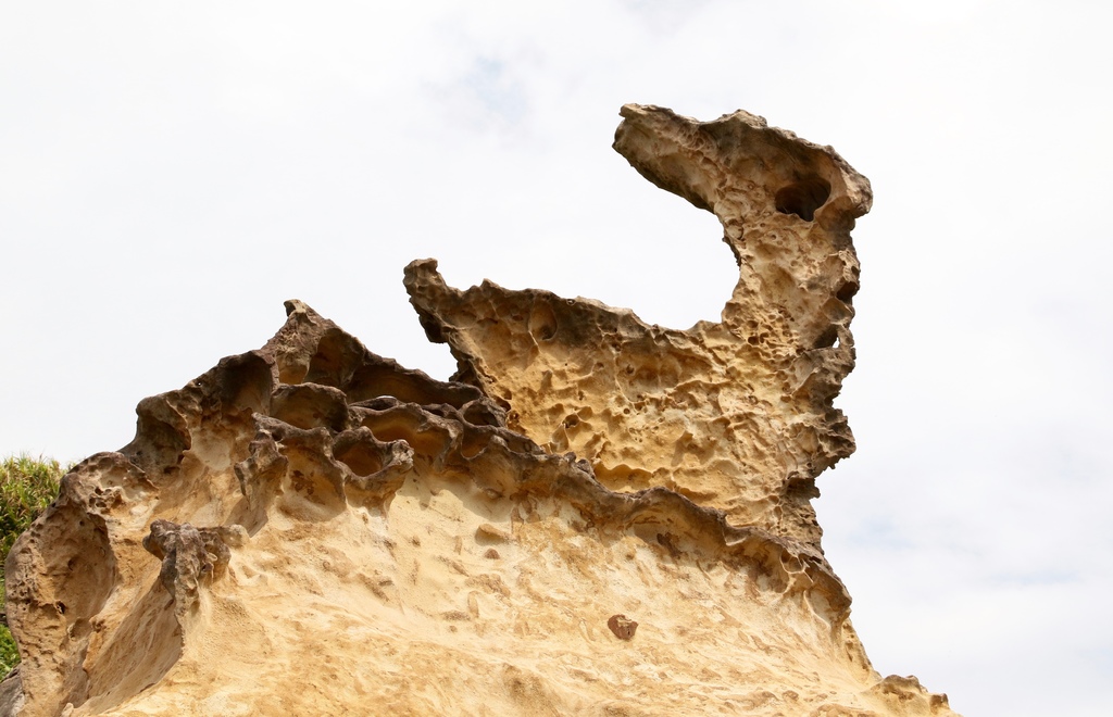 LH7A0226.jpg LH7A0226.jpg