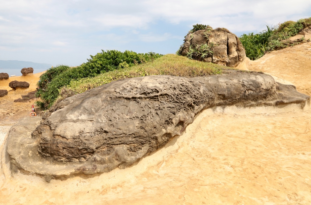 LH7A0243.jpg LH7A0243.jpg