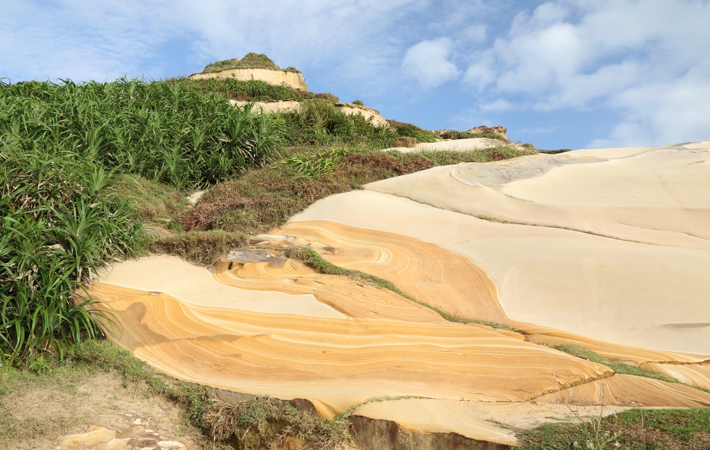 LH7A9793.jpg LH7A9793.jpg