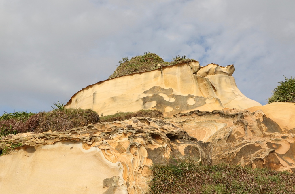 LH7A9811.jpg LH7A9811.jpg