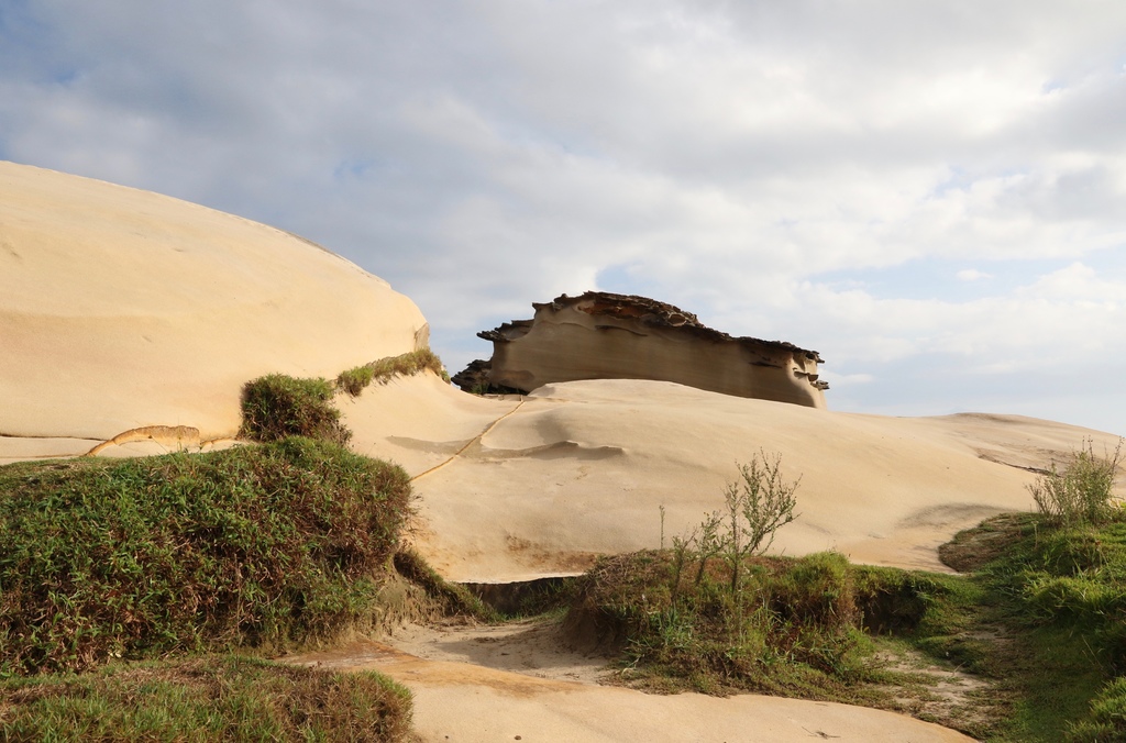 LH7A9797.jpg LH7A9797.jpg