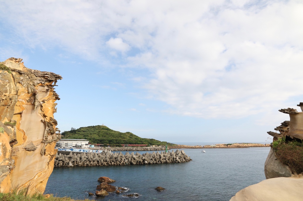 LH7A9805.jpg LH7A9805.jpg