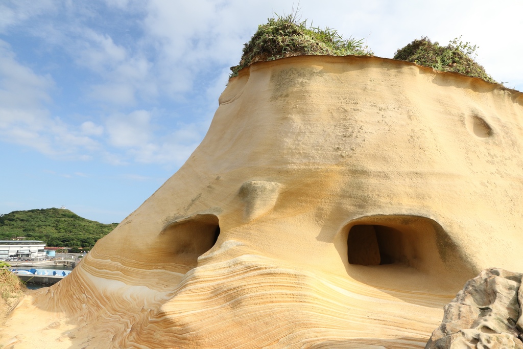 LH7A9819.jpg LH7A9819.jpg