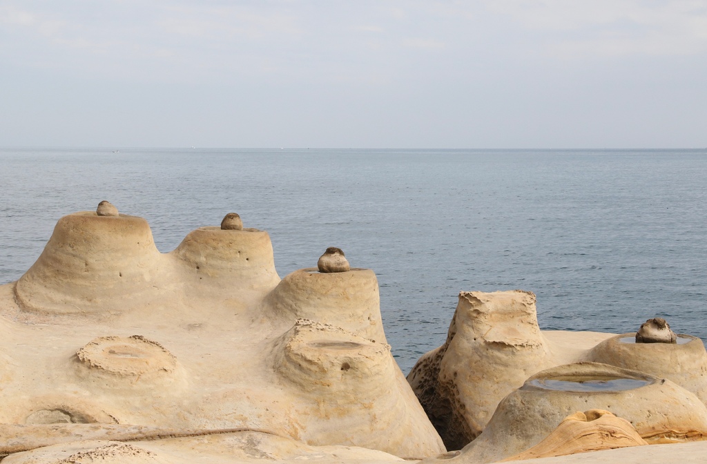 LH7A9983.jpg LH7A9983.jpg