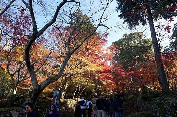湖東三山 金剛輪寺 血染めのもみじ 血染的紅葉 睛豔紅葉參道 綠桃子の樂活誌 痞客邦