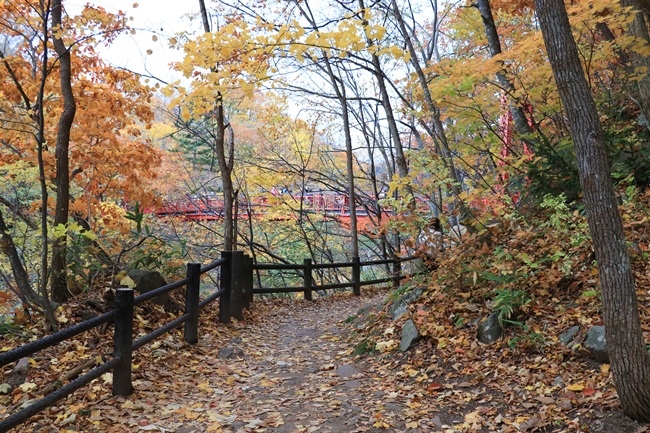 北海道 定山溪一日遊 紅葉 二見吊橋 定山溪大橋 J Glacee蘋果派 定山溪日歸溫泉交通一日券 綠桃子の樂活誌