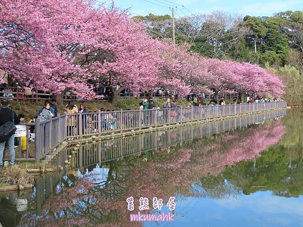 [遊記] 日本東京 ‧ 三浦海岸 ‧ 伊豆河津 ‧ 下田 ‧