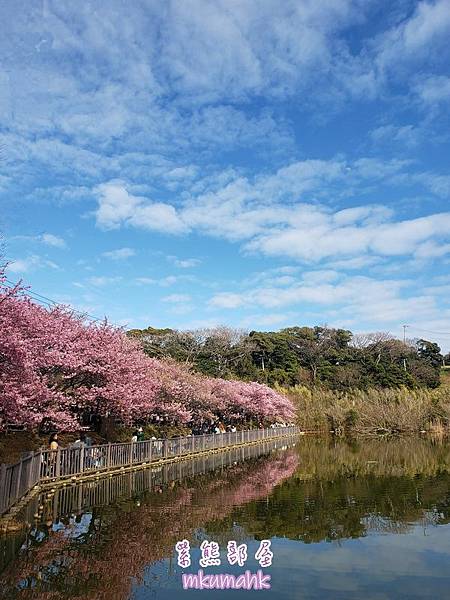 [遊記] 日本東京 ‧ 三浦海岸 ‧ 伊豆河津 ‧ 下田 ‧