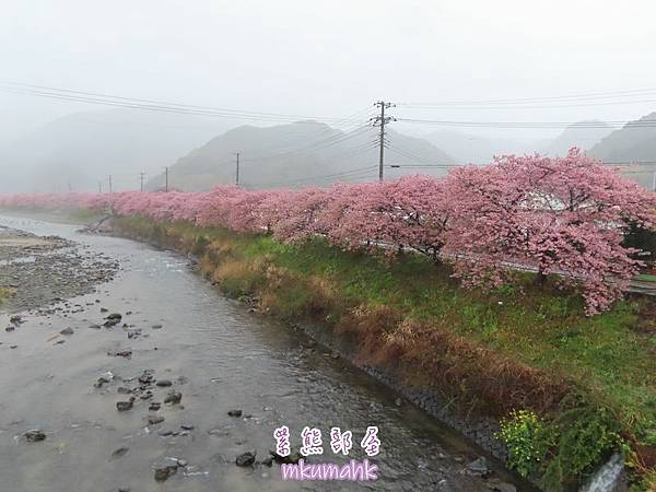 [遊記] 日本東京 ‧ 三浦海岸 ‧ 伊豆河津 ‧ 下田 ‧