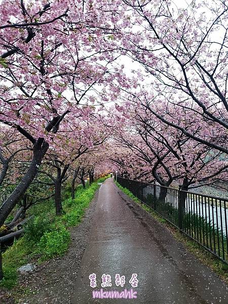 [遊記] 日本東京 ‧ 三浦海岸 ‧ 伊豆河津 ‧ 下田 ‧