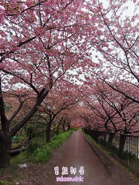 [遊記] 日本東京 ‧ 三浦海岸 ‧ 伊豆河津 ‧ 下田 ‧