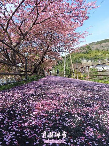 [遊記] 日本東京 ‧ 三浦海岸 ‧ 伊豆河津 ‧ 下田 ‧