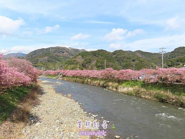 [遊記] 日本東京 ‧ 三浦海岸 ‧ 伊豆河津 ‧ 下田 ‧