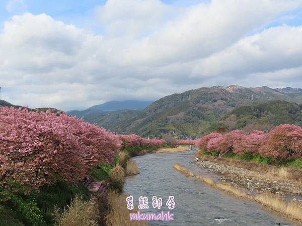 [遊記] 日本東京 ‧ 三浦海岸 ‧ 伊豆河津 ‧ 下田 ‧