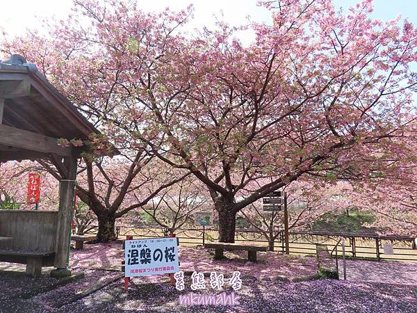 [遊記] 日本東京 ‧ 三浦海岸 ‧ 伊豆河津 ‧ 下田 ‧