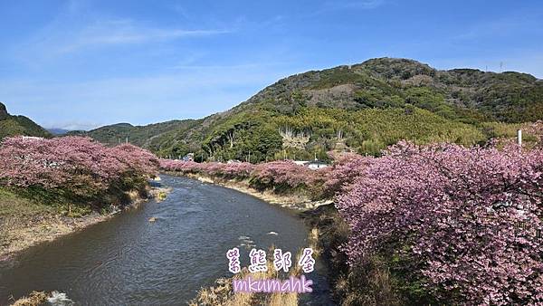 [遊記] 日本東京 ‧ 三浦海岸 ‧ 伊豆河津 ‧ 下田 ‧